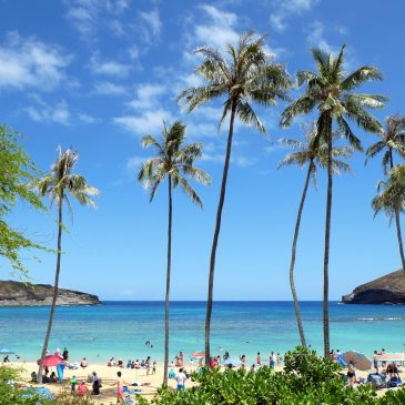 Hawaii (01.04.2019 bis 08.04.2019)